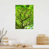 モンキーポッドツリー ポスター (キッチン)