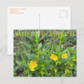 モンキーマーチ ポストカード (正面/裏面)