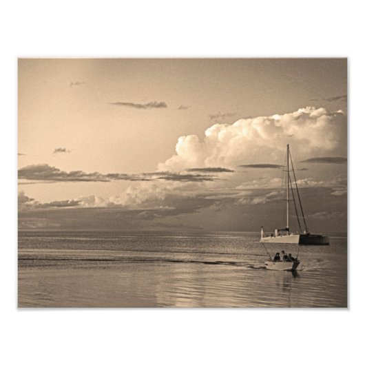 モンキーミア フォトプリント            (正面)