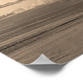 モンキーミア ポスター (角)