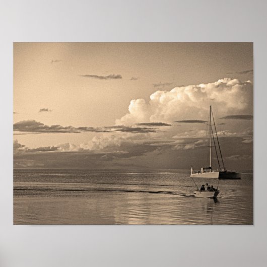 モンキーミア ポスター (正面)