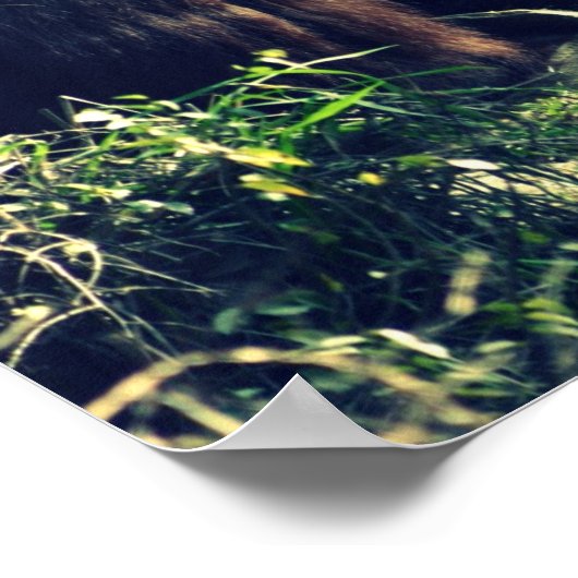 モンキーラブ ポスター (角)