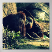 モンキーラブ ポスター (正面)