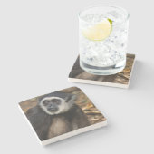 モンキーランドの白いハンドギボン ストーンコースター (横)