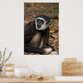 モンキーランドの白いハンドギボン ポスター (キッチン)