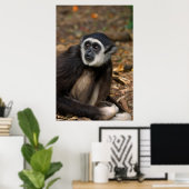 モンキーランドの白いハンドギボン ポスター (ホームオフィス)