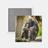 モンキー冷蔵庫用マグネット マグネット (正面/裏面)