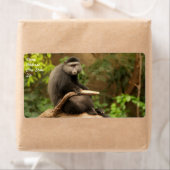 モンキー出荷ラベル ラベル (インサイチュ)