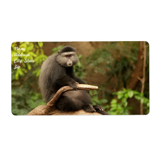 モンキー出荷ラベル ラベル (正面)