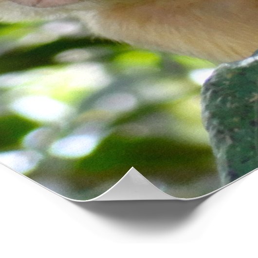 モンキー参照… ポスター (角)