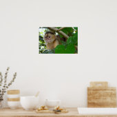 モンキー参照… ポスター (キッチン)