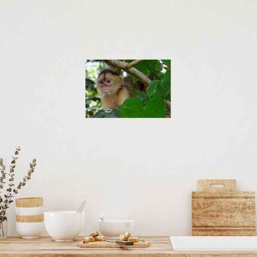 モンキー参照… ポスター (キッチン)
