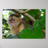 モンキー参照… ポスター (正面)