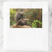 モンキー四角形シール 長方形シール (バッグ)