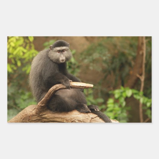 モンキー四角形シール 長方形シール (正面)