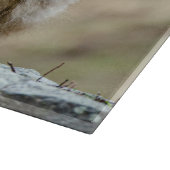 モンキー日本の写真機 カッティングボード (角)