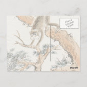 モンキー日本の ポストカード (裏面)