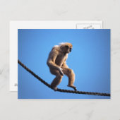 モンキー歩くオンロープ ポストカード (正面/裏面)