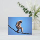 モンキー歩くオンロープ ポストカード (スタンド正面)