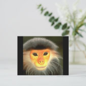 モンキー白熱［赤熱］光を放つ ポストカード (スタンド正面)