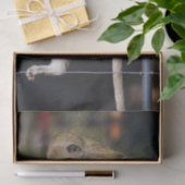 モンキー間抜けティッシュペーパー 薄葉紙 (ギフト)