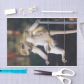 モンキー間抜けティッシュペーパー 薄葉紙 (クラフト)