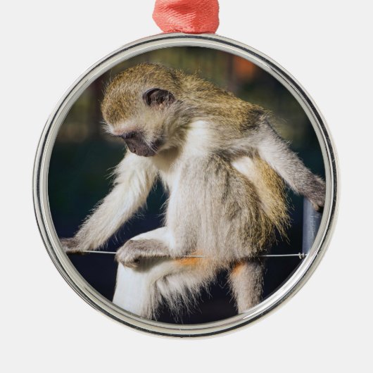 モンキー間抜け メタルオーナメント (正面)