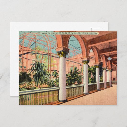 モンキー・ハウス、フォレストパーク、セントルイス ミズーリ州 ポストカード (正面/裏面)