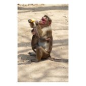 モンキー – マザーズ朝食 フォトプリント            (正面)