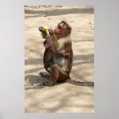 モンキー – マザーズ朝食 ポスター (正面)