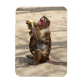 モンキー – マザーズ朝食 マグネット (縦)