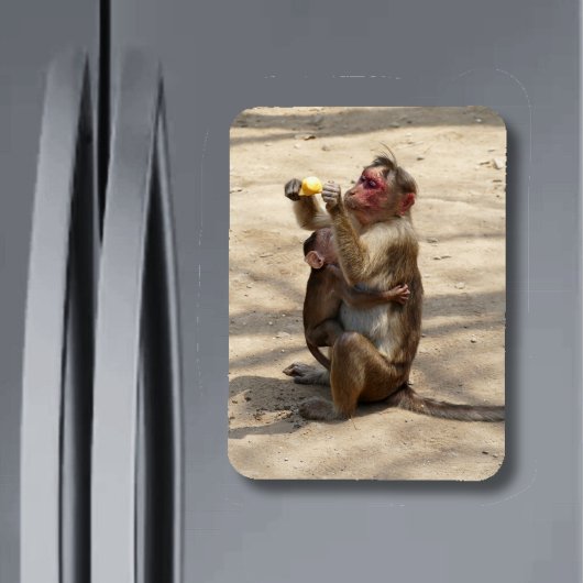 モンキー – マザーズ朝食 マグネット