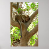 モンキー – 私は非常に疲れている ポスター (正面)