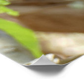 モンキー – 私は非常に疲れている ポスター (角)