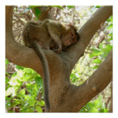 モンキー – 私は非常に疲れている ポスター (正面)