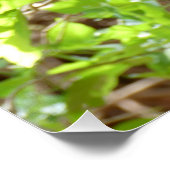 モンキー – 私は非常に疲れている ポスター (コーナー)