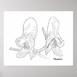 モンクショッドイラストレーション ポスター