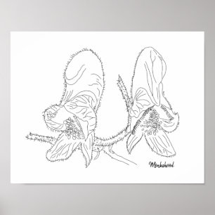 モンクショッドイラストレーション ポスター