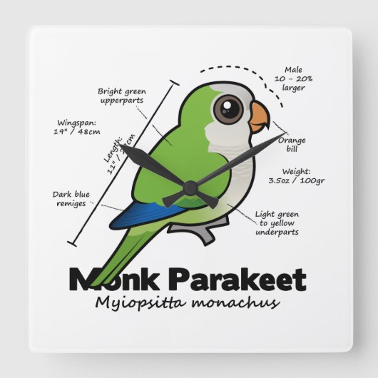 モンクパラケート統計 スクエア壁時計 (正面)