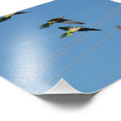 モンクローツ フォトプリント            (角)