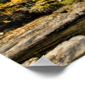 モンゴメリーカバー秋の葉 ポスター (角)