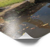 モンゴメリーキャナルショップシャーイングランド フォトプリント            (角)