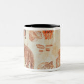 モンゴルの遊牧的なキャンプ、15世紀 ツートーンマグカップ (中央)