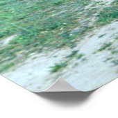 モンゴルの野生の馬 ポスター (角)