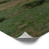 モンゴルの馬 ポスター (角)