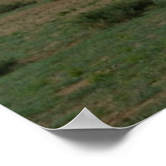 モンゴルの馬 ポスター (角)