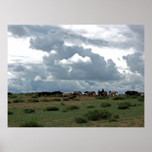 モンゴルの馬 ポスター (正面)