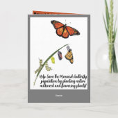 モンゴルハチョウを救おう サンキューカード (裏面)