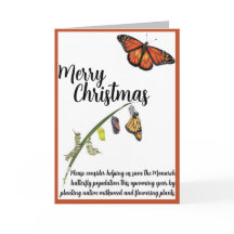 モンゴルハチョウを救おう