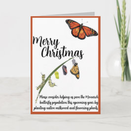 モンゴルハチョウを救おう サンキューカード